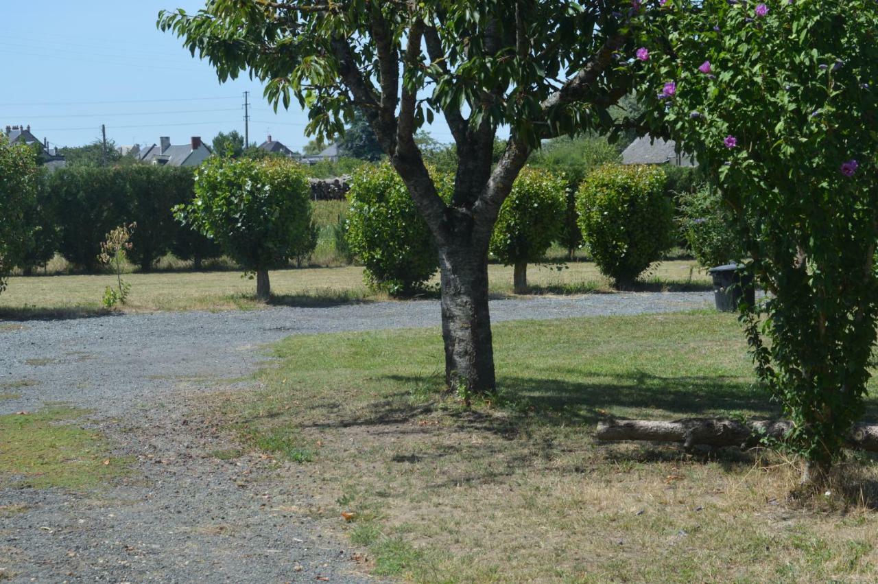 Gite Dans Le Vignoble De Bourgueil Le Port Boulet Zewnętrze zdjęcie