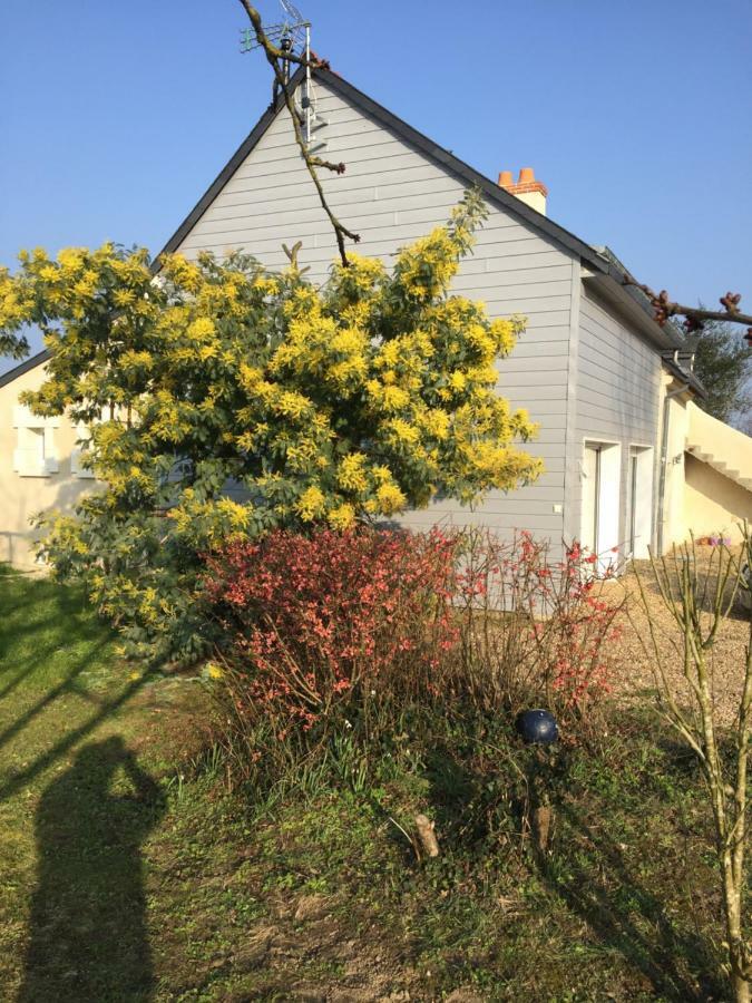 Gite Dans Le Vignoble De Bourgueil Le Port Boulet Zewnętrze zdjęcie